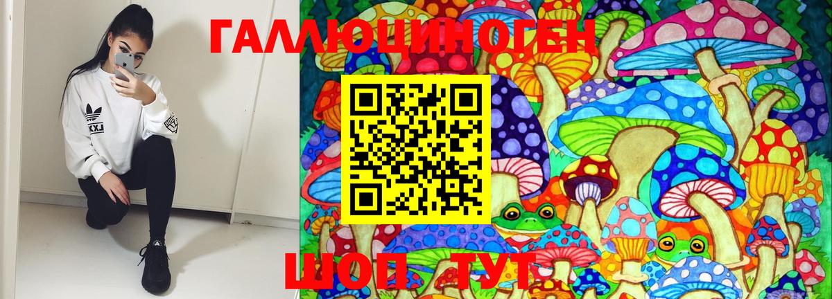Псилоцибиновые грибы Psilocybe  Вход с VPN  Новоалтайск  Псилоцибиновые грибы Magic Shrooms 
